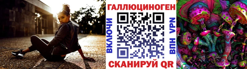 Купить  Любань  Галлюциногенные грибы Magic Shrooms 